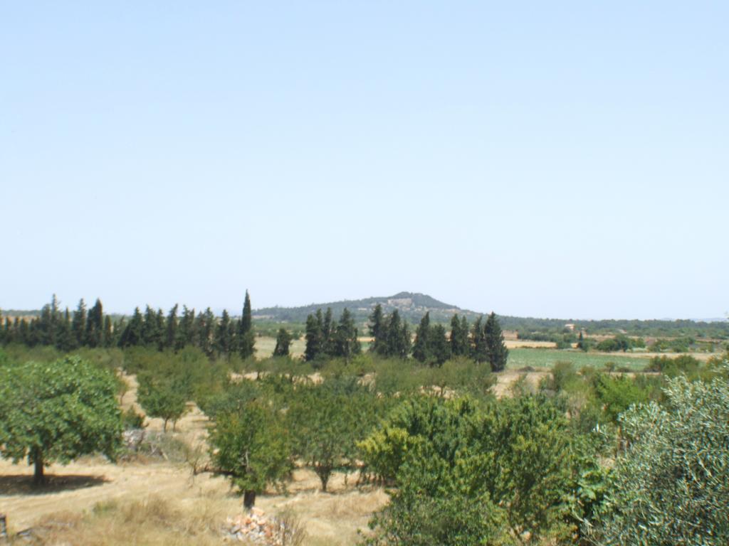 Es Lladoner Villa Porreras Exterior foto