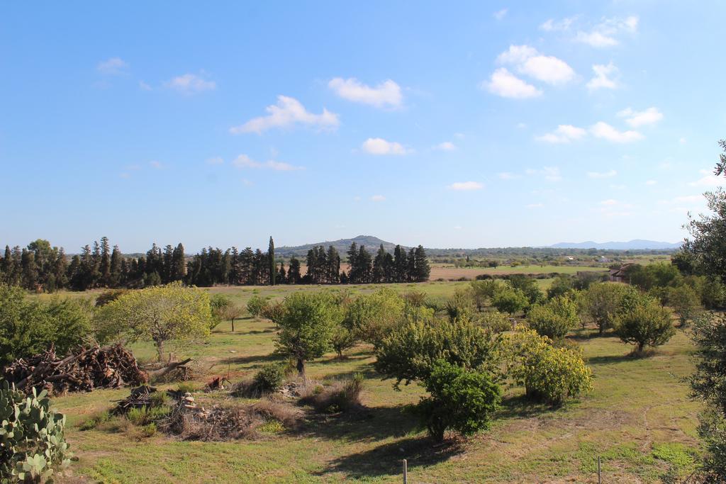 Es Lladoner Villa Porreras Exterior foto